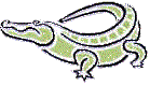 alligator2.gif (4192 bytes)